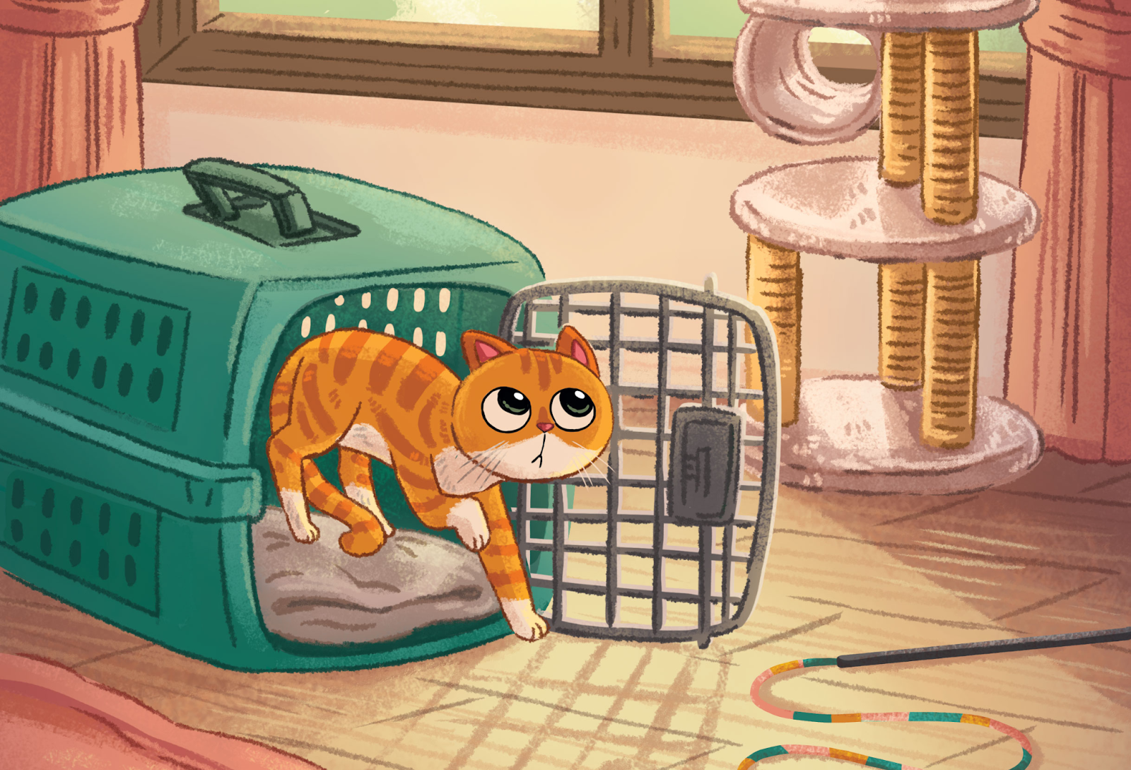 cat shelter